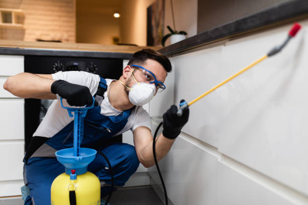 Best Mosquito Control Services  in Greenwood, PA