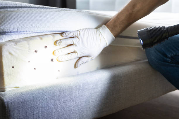 Best Pest Prevention Services  in Greenwood, PA