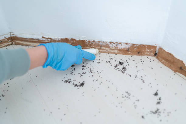 Best Pest Removal Services  in Greenwood, PA