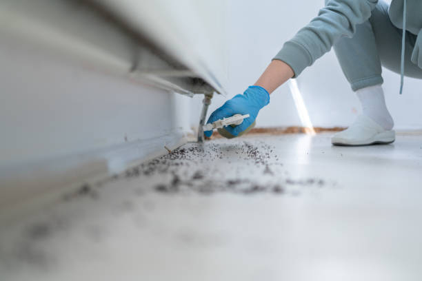 Best Commercial Pest Control Services  in Greenwood, PA