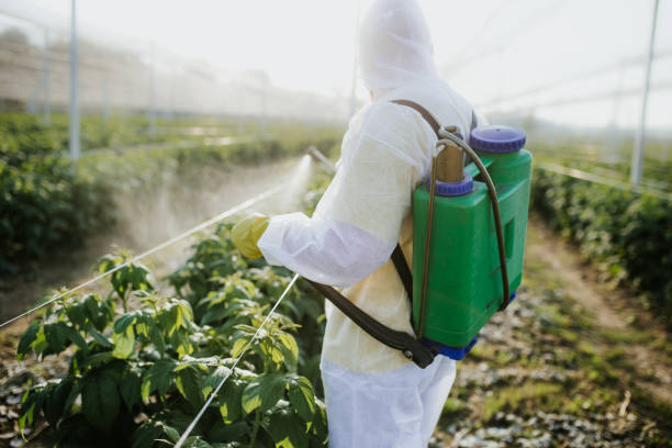 Best Cockroach Control Services  in Greenwood, PA